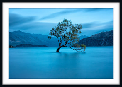 Lake Wanaka Dawn
