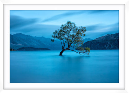 Lake Wanaka Dawn